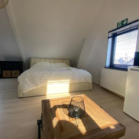 Luis Met Gedeelde Badkamer En Keuken * Zonhoven